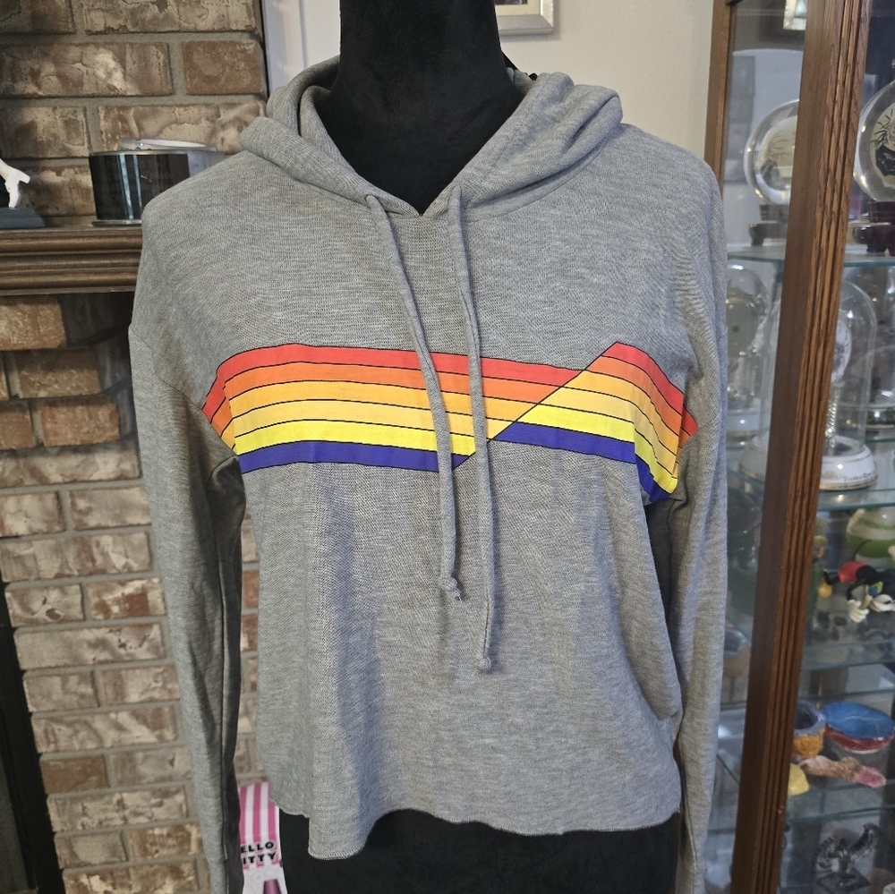Chaser Gray V-Neck Sweater with Rainbow Stripes